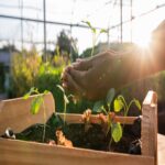 Promotion of Sustainable Integrated Agriculture